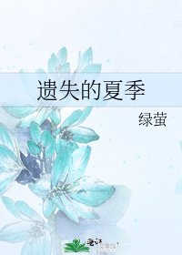 遺失的夏季